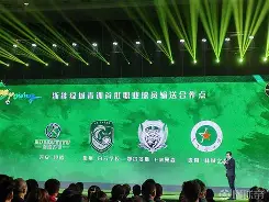 甘冈队在比赛中表现出色，击败斯特拉斯堡队